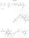 Fig. 08 - 1-CYCLOALKYL- OR 1-HETEROCYCLYL-HYDROXYIMINO-3-PHENYL-PROPANES