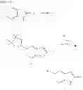 Fig. 06 - INDOLE INHIBITORS OF CRAC