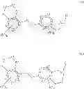 Fig. 06 - GPR120 receptor agonists and uses thereof