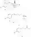 Fig. 131 - GPR120 receptor agonists and uses thereof