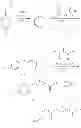 Fig. 41 - GPR120 receptor agonists and uses thereof