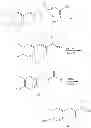 Fig. 64 - GPR120 receptor agonists and uses thereof
