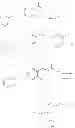 Fig. 82 - GPR120 receptor agonists and uses thereof