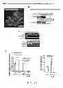 Fig. 22 - Control of Cardiac Growth, Differentiation and Hypertrophy
