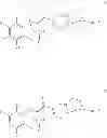 Fig. 30 - PROCESS FOR THE PREPARATION OF PYRROLINES FROM GAMMA-NITROKETONES. USE OF THE GAMMA-NITROKETONES AS PESTICIDAL AGENTS