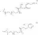 Fig. 27 - Modified Polymers for Delivery of Polynucleotides, Method of Manufacture, and Methods of Use Thereof