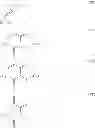 Fig. 09 - Regulator molecule