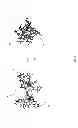 Fig. 04 - High salt-resistance antibacterial peptide and method for producing the same