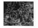 Fig. 01 - Silk fibroin porous material and method for producing same