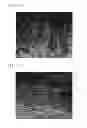 Fig. 08 - Silk fibroin porous material and method for producing same