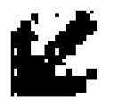 Fig. 02 - Anti-cMET antibody
