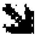 Fig. 03 - Anti-cMET antibody