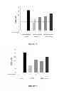 Fig. 08 - Anti-cMET antibody