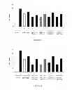 Fig. 10 - Anti-cMET antibody