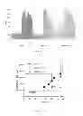 Fig. 13 - Anti-cMET antibody