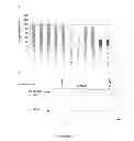 Fig. 22 - Anti-cMET antibody