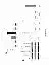 Fig. 30 - Anti-cMET antibody