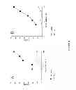 Fig. 35 - Anti-cMET antibody