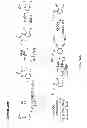 Fig. 14 - Modular synthesis of graphene nanoribbons and graphene substructures from oligo-alkynes