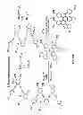 Fig. 17 - Modular synthesis of graphene nanoribbons and graphene substructures from oligo-alkynes
