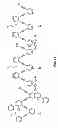 Fig. 18 - Modular synthesis of graphene nanoribbons and graphene substructures from oligo-alkynes