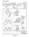 Fig. 28 - Modular synthesis of graphene nanoribbons and graphene substructures from oligo-alkynes