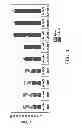 Fig. 02 - Production of furfural from biomass