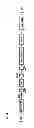 Fig. 04 - Polynucleotide encoding PPAT derived from jatropha and use thereof