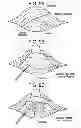 Fig. 09 - Method and devices for a sub-splenius / supra-levator scapulae surgical access technique