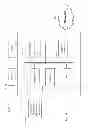 Fig. 12 - Marking system for computer-aided detection of breast abnormalities
