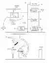 Fig. 01 - System for orientation and display of ultrasound imaging data