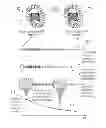 Fig. 01 - METHODS AND APPARATUS FOR ANALYZING MEDICAL IMAGING DATA