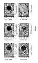 Fig. 08 - Methods, systems and apparatuses for Van-Cittert Zernike imaging