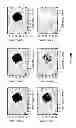 Fig. 09 - Methods, systems and apparatuses for Van-Cittert Zernike imaging