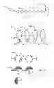 Fig. 22 - METHOD AND DEVICE FOR TREATMENT OF ARRHYTHMIAS AND OTHER MALADIES
