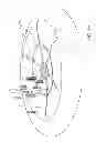 Fig. 02 - System and method for treating a surface