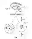 Fig. 02 - METHODS FOR TREATING EYE CONDITIONS