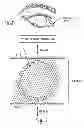 Fig. 08 - METHODS FOR TREATING EYE CONDITIONS