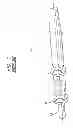 Fig. 02 - SPRING CONNECTOR FOR IMPLANTABLE MEDICAL DEVICE