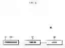 Fig. 06 - System and method for controlling an electronic device