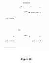 Fig. 09 - Managing backups of data objects in containers