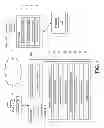 Fig. 02 - Verification of authenticity and responsiveness of biometric evidence and/or other evidence