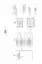 Fig. 02 - APPARATUS AND METHODS FOR TRANSMITTING MULTI-VIEW CONTENTS