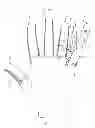 Fig. 06 - Athletic grip enhancing finger gloves