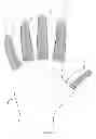 Fig. 07 - Athletic grip enhancing finger gloves