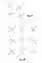 Fig. 08 - Designer-adaptive visual codes