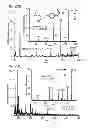 Fig. 48 - Ion generation using wetted porous material