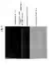 Fig. 05 - Thin-film transistor