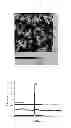 Fig. 07 - Precursor composition and method for forming amorphous conductive oxide film