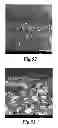 Fig. 22 - Impregnation Assembly and Method for Manufacturing a Composite Structure Reinforced with Long Fibers
